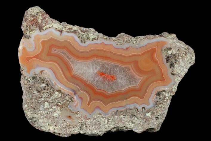 Polished Banded Agate Section - Kerrouchen, Morocco #181388
